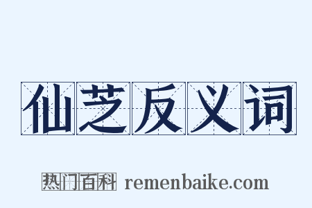 仙芝反义词是什么意思的图片